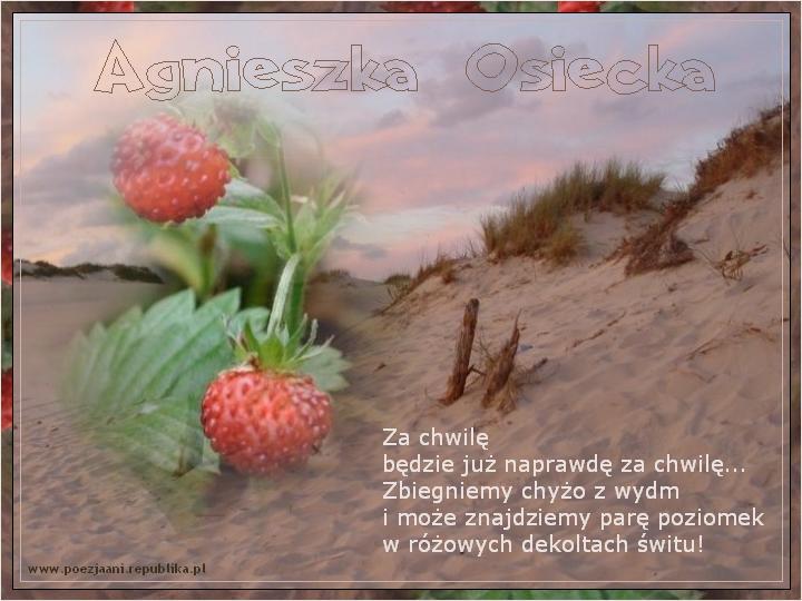 Agnieszka Osiecka - Za chwilę - Agnieszka Osiecka.jpg