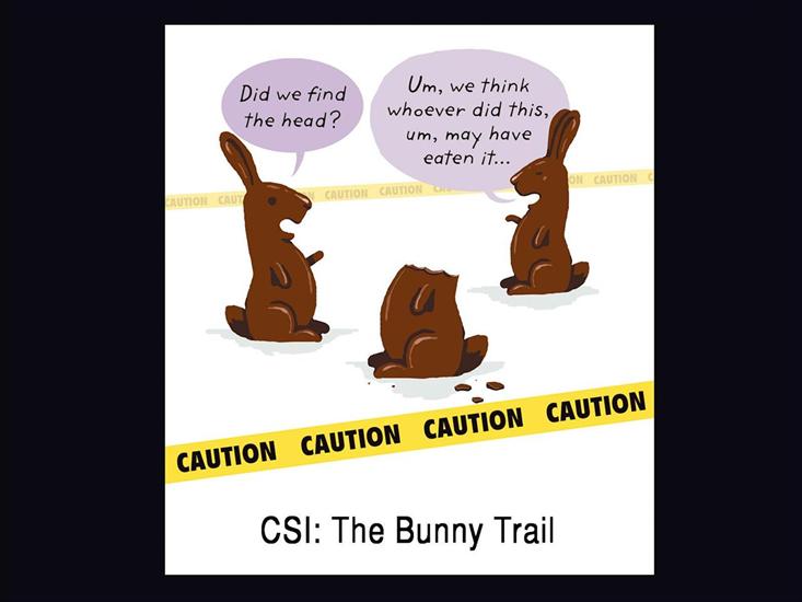 Tapety HD - CSI_ The Bunny Trail.jpg