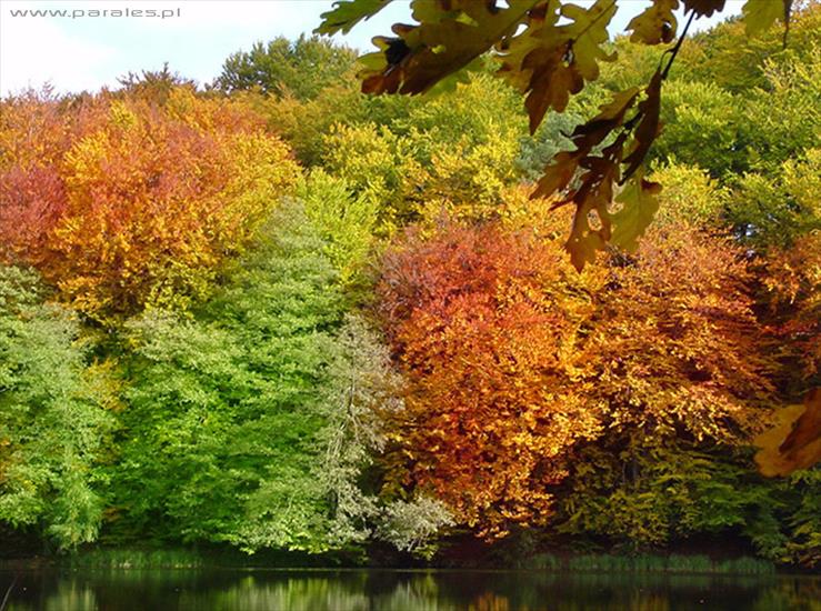 foto - jesienny krajobraz 16.jpg