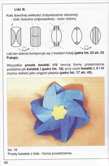 Origami4 - IMG_0003.jpg
