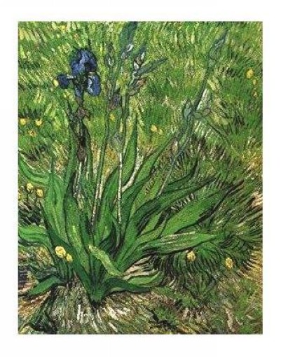Vincent van GOGH - Vincent-van-Gogh-Irysy.jpg