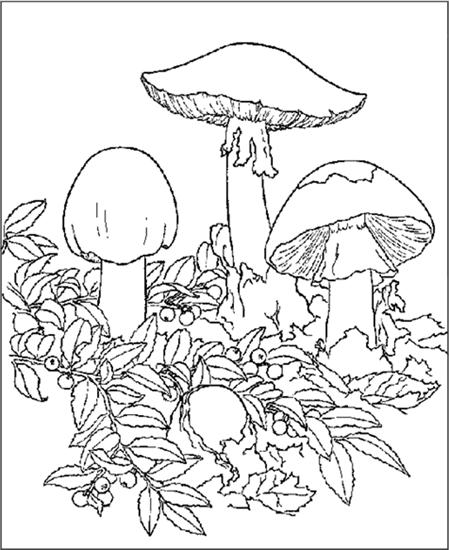 Jesień - automne-champignons_03.gif