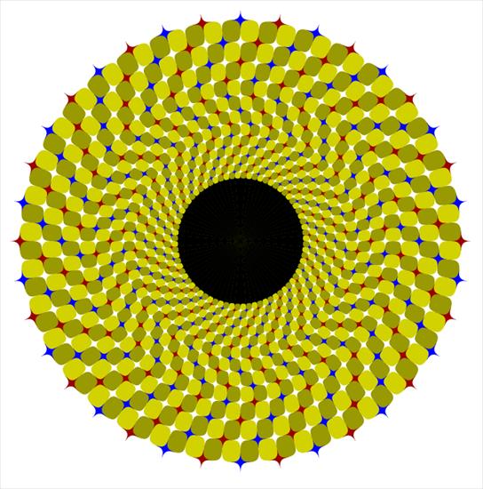 iluzje - Moving pupil2.gif