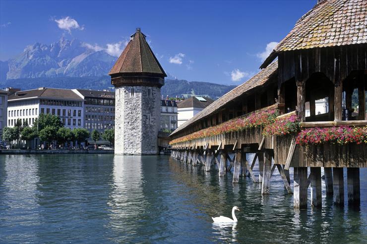 Architektura - Chapel Bridge, Lucerne, Switzerland.jpg