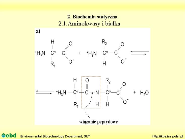 BIOCHEMIA 2 - biochemia statyczna - Slajd04.TIF