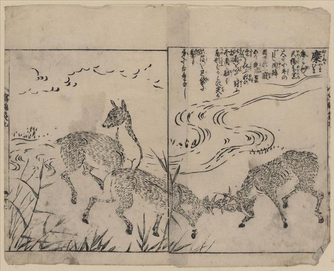 K Hokusai - Deer, two bucks fighting, next to a stream.jpg