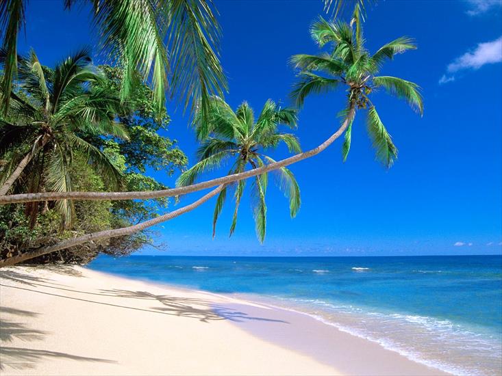 --Galeria -plaża - Kadavu Island_Fiji.jpg