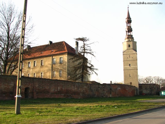 zamki , wieże - zamek Bierutow.jpg