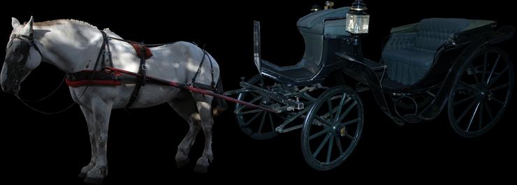 Karety,Powozy-PNG - Horse and Carriage by Peace-of-Art.png