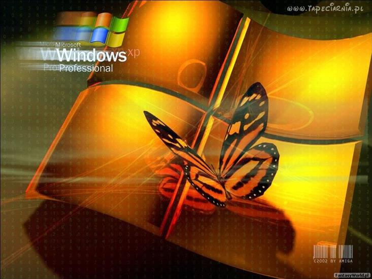 worms44444 - 31541_windows_xp_microsoft_motyl.jpg