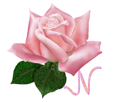 Różowa Różyczka - N1.gif
