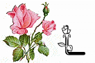 róże rozkwitające - L.gif