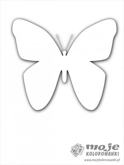 Kształty - Motyl.jpg