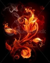 Tapety --ALLES-- - Fire_Flower.jpg