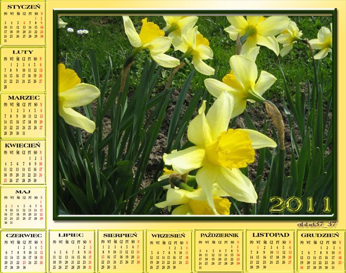 Kalendarze 2011 - anna 37_3719.png