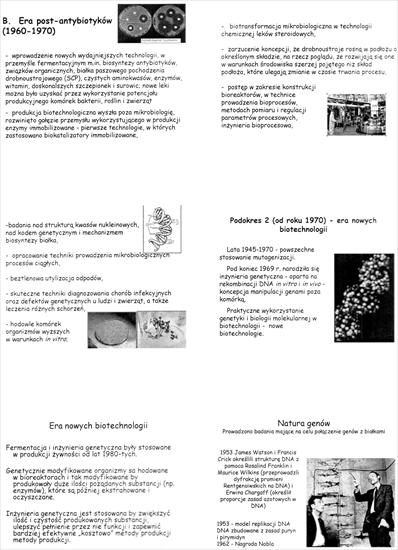 biotechnologia - img009.jpg