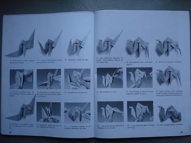 SZTUKA SKLADANIA PAPIERU1 - Origami - sztuka składania papieru 41.JPG