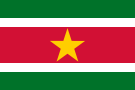 Flagi Afryki - flaga-surinam.png