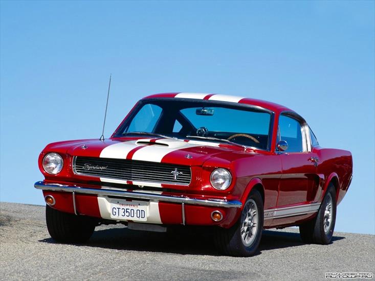 Ford_Mustang - autowp.ru_mustang_shelby_gt350_141.jpg
