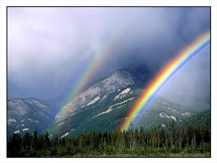 teczowe obrazki - rainbow_forest.jpg