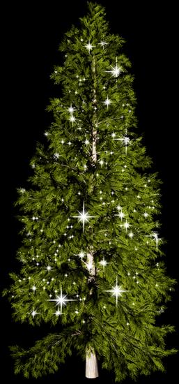 zimowe drzewka i krzewy - VerenaDesigns_MerrylittleChristmas_tree.png