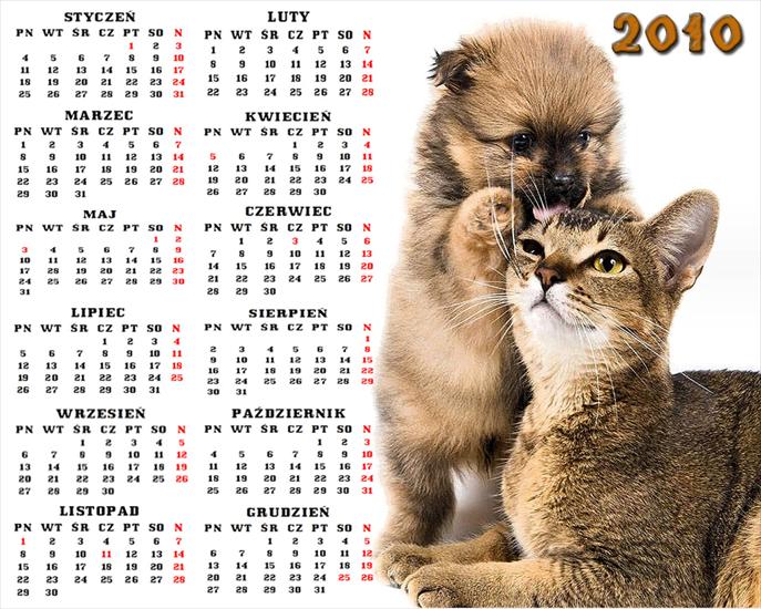 kalendarze 2010 - Bez nazwy 1.png