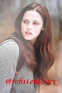 Ilustrowany przewodnik po filmie - New Moon Ilustrowany przewodnik po filmie Bella- Kristen Stewart.jpg