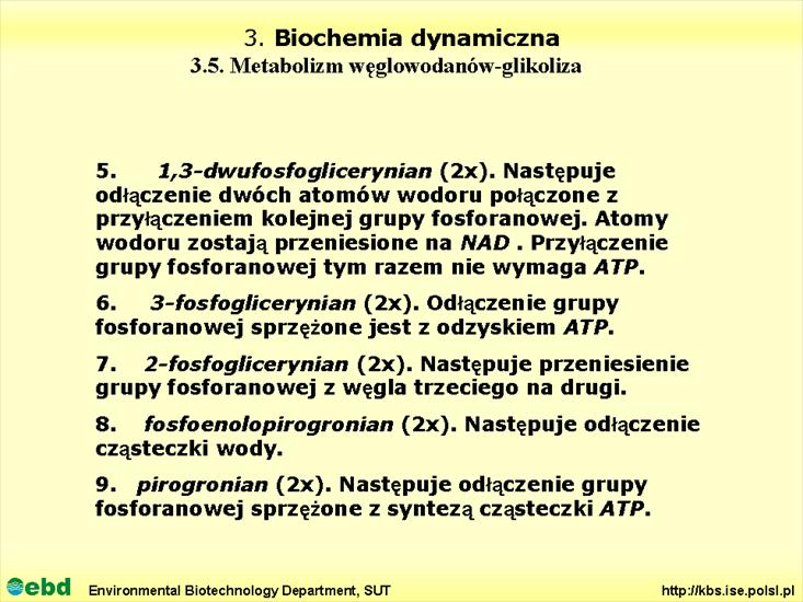 BIOCHEMIA 4- metabolizm tł, cukr, amino, Krebs - Slajd09.TIF