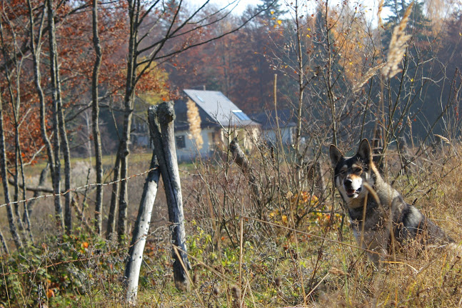 GALERIA - rostoki górne ,cerny balog,święta żupawa 007.jpg