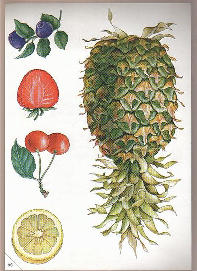 owoce i warzywa - ananas1.jpg