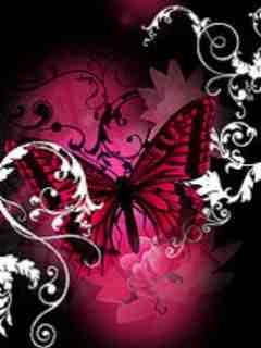 Motyle - Dark_Pink_Butterfly.jpg