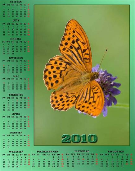 Kalendarze - 5 kalendarz 2010.jpg