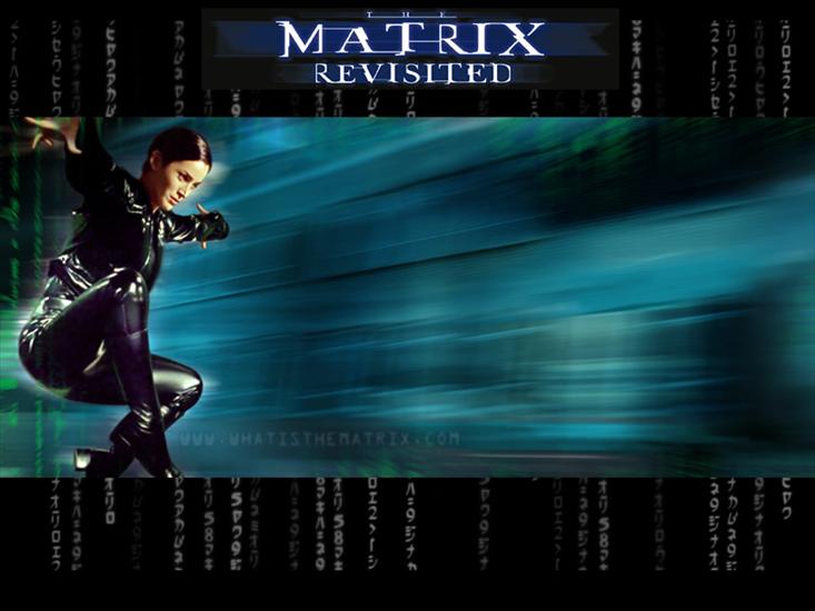Matrix - Trinity 14.jpg