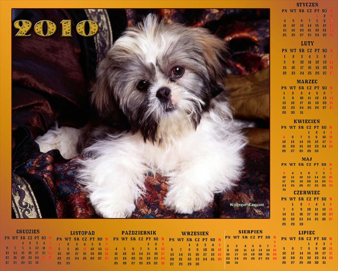 Kalendarze 2010 - anna37_37  MOJEGO WYKONANIA  27.jpg