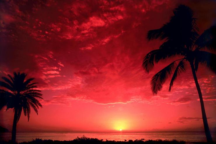 Tapety- natura the best - South Pacific Sunset_60062.jpg