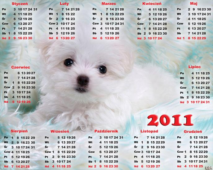 1.Kalendarze 2011r - Kalendarz 2011 psiaki1.png