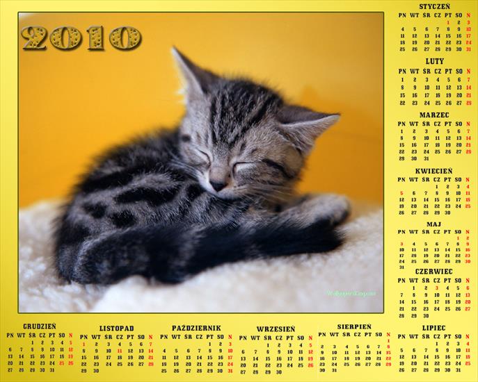 Kalendarze - Kalendarz 201061.jpg