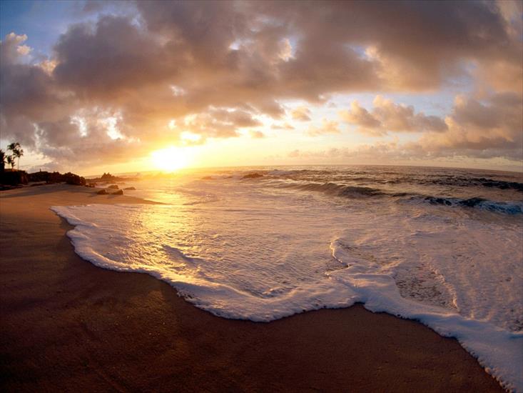 --Galeria -plaża - Moorea Island Sunset_French Polynesia.jpg