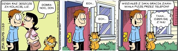 Garfield - wariacje  - GARFIELD17.jpg