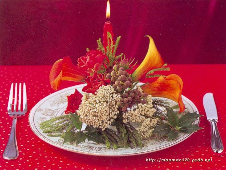 Boże Narodzenie - plant-food_1024x768_16978.jpg