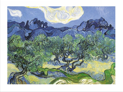 Vincent van GOGH - Vincent-van-Gogh-Drzewa-oliwne.jpg