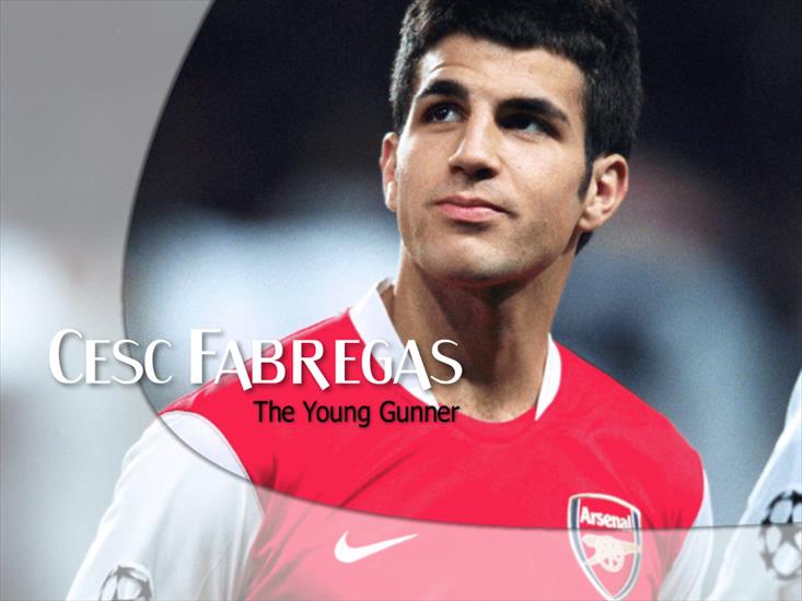 Arsenal FC - cesc_fabregas_wallpaper.jpg