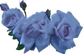 GIFY - róże niebieskie1.gif