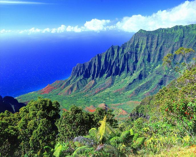 The-kalalau-valley--kauai--hawaii-wallpaper_1280x10241.jpg