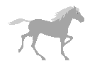 konie jak z bajki - cavallo004.gif
