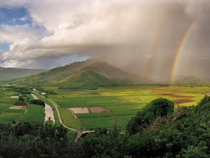 Stany Zjednoczone - Hanalei River Valley, Kauai, Hawaii1600x1200.jpg