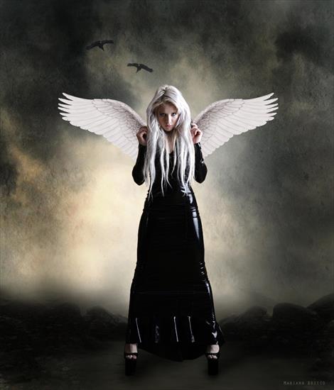 Mariana Britto - 10 angel in the dark.jpg