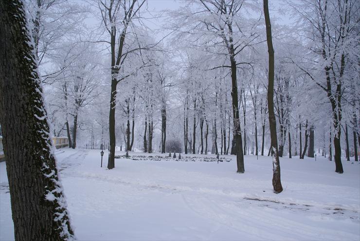 Zima Sterdyń luty 2009 - DSC06897.JPG