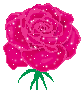 róże - róża1.gif