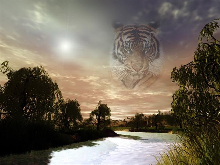 foldery na komórkę - Tiger Land.jpg